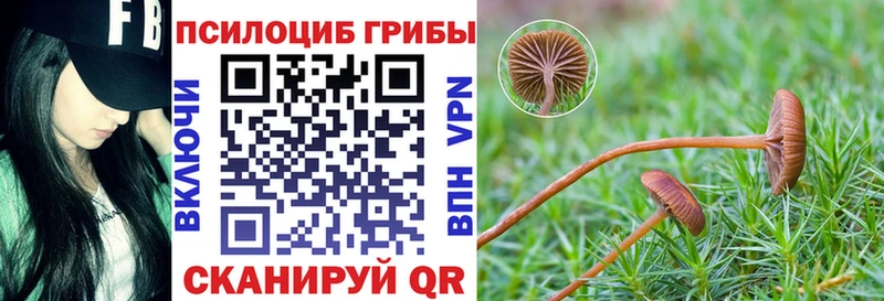 Псилоцибиновые грибы Cubensis Мамоново